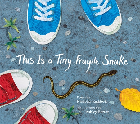 This Is a Tiny Fragile Snake by Ruddock, Nicholas