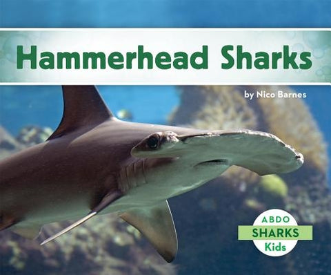 Hammerhead Sharks by Barnes, Nico