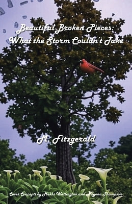 Beautiful Broken Pieces: What the Storm Couldn't Take by Fitzgerald, M.