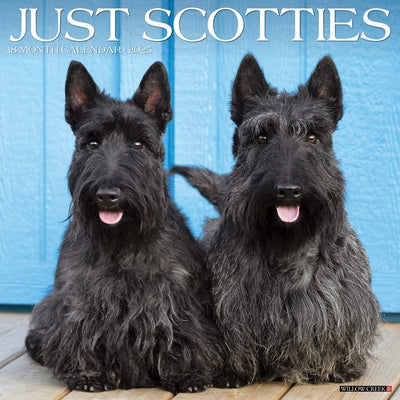 Scotties 2026 12 X 12 Wall Calendar by Willow Creek Press