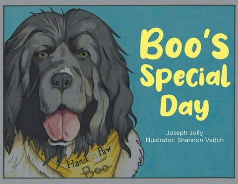 Boo's Special Day by Jolly, Joseph