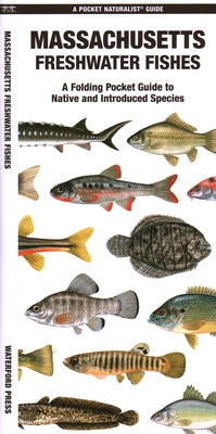 Massachusetts Freshwater Fishes: A Folding Guide to Native and Introduced Species by Waterford Press