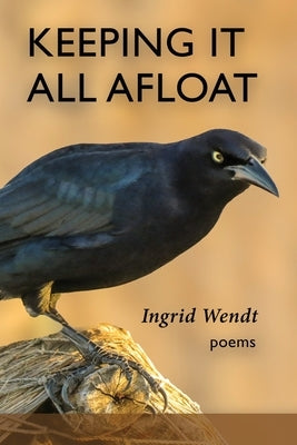 Keeping It All Afloat by Wendt, Ingrid
