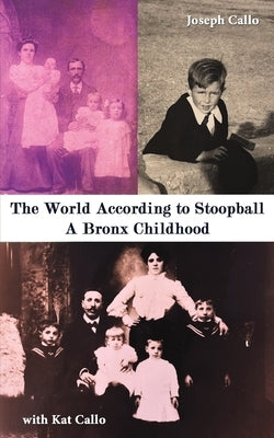The World According to Stoopball by Callo, Joseph