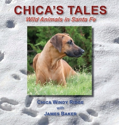 Chica's Tales: Wild Animals in Santa Fe by Baker, James