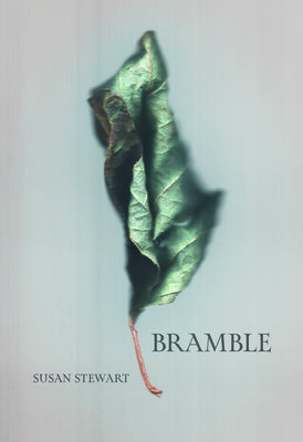 Bramble by Stewart, Susan