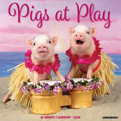 Pigs at Play 2026 12 X 12 Wall Calendar by Willow Creek Press