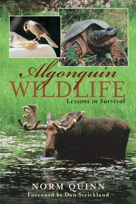Algonquin Wildlife: Lessons in Survival by Quinn, Norm