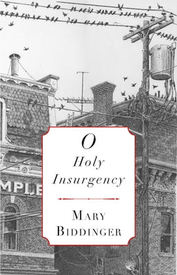 O Holy Insurgency by Biddinger, Mary