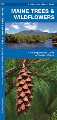Maine Trees & Wildflowers: A Folding Pocket Guide to Familiar Plants by Kavanagh, James