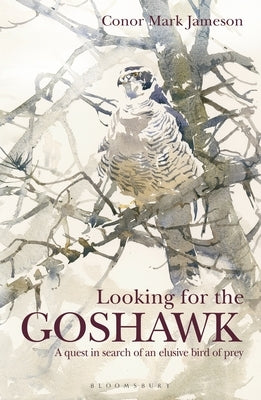 Looking for the Goshawk by Jameson, Conor Mark