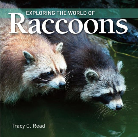 Exploring the World of Raccoons by Read, Tracy C.