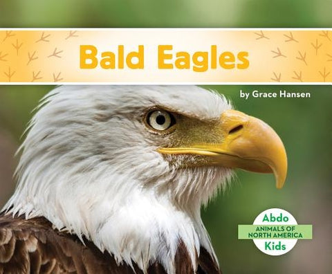 Bald Eagles by Hansen, Grace