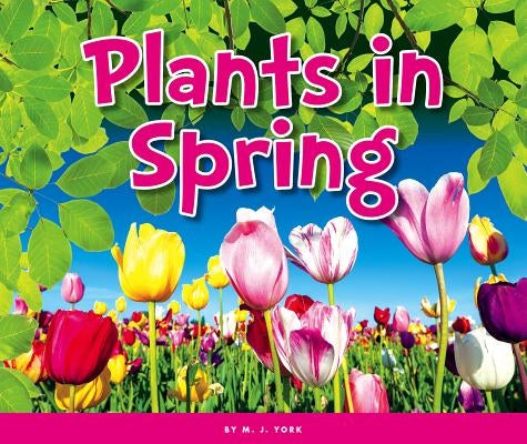 Plants in Spring by York, M. J.