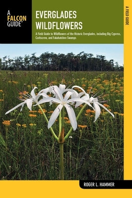 Everglades Wildflowers by Hammer, Roger L.