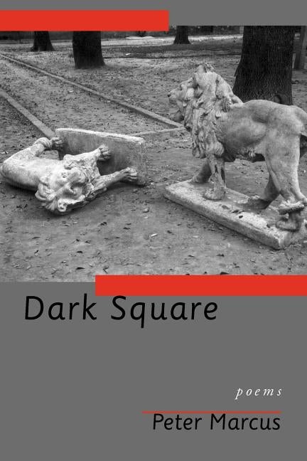 Dark Square by Marcus, Peter