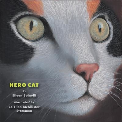 Hero Cat by Spinelli, Eileen