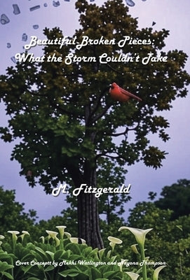 Beautiful Broken Pieces: What the Storm Couldn't Take by Fitzgerald, M.