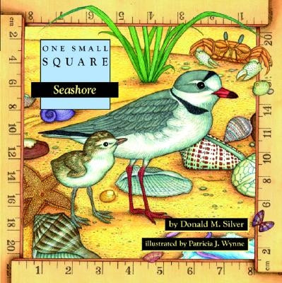 Seashore by Silver, Donald