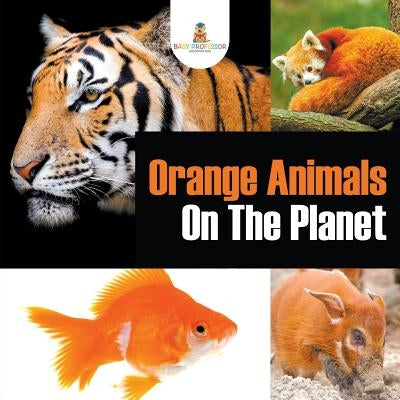 Orange Animals On The Planet by Baby Professor