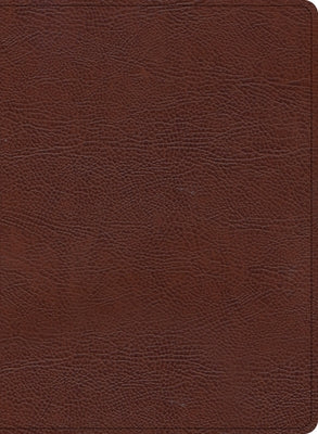 KJV Study Bible, Large Print Edition, Brown Bonded Leather by Holman Bible Publishers