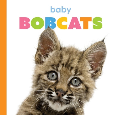 Baby Bobcats by Thompson, Kim