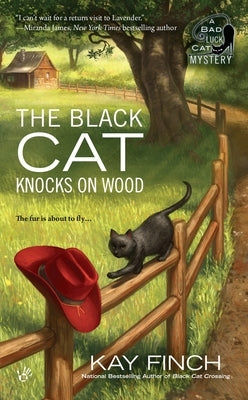 The Black Cat Knocks on Wood by Finch, Kay