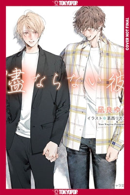 My Uncontrollable Man, Volume 4 (Light Novel) (My Beautiful Man (Light Novel)) by Nagira, Yuu