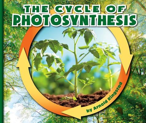 The Cycle of Photosynthesis by Ringstad, Arnold