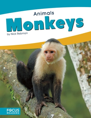 Monkeys by Rebman, Nick
