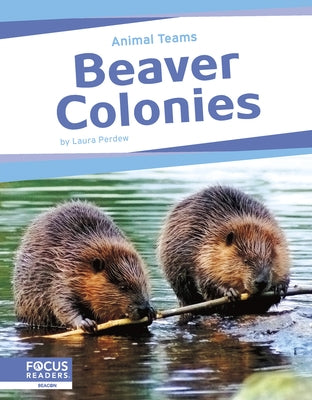 Beaver Colonies by Perdew, Laura