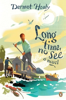 Long Time, No See by Healy, Dermot