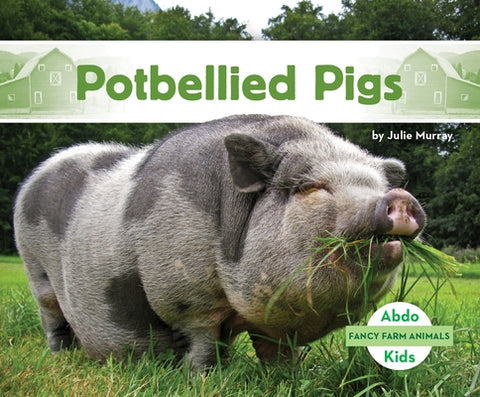 Potbellied Pigs by Murray, Julie