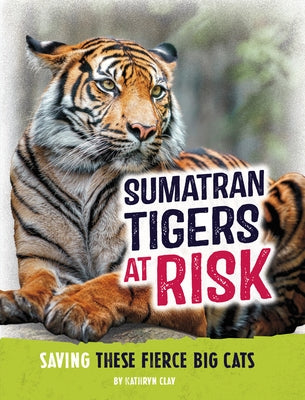 Sumatran Tigers at Risk: Saving These Fierce Big Cats by Clay, Kathryn