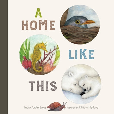 A Home Like This by Salas, Laura Purdie