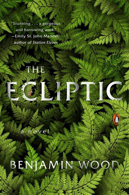 The Ecliptic by Wood, Benjamin