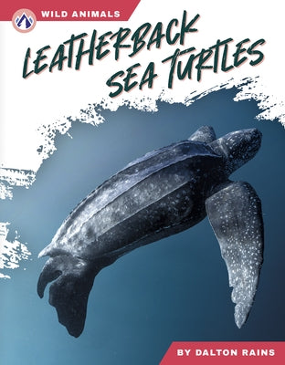 Leatherback Sea Turtles by Doty, Abby