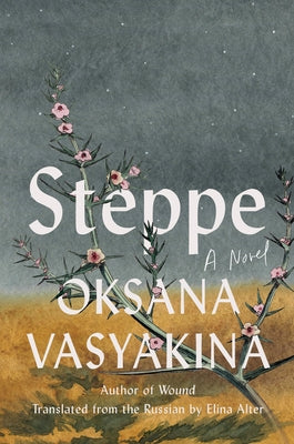 Steppe by Vasyakina, Oksana