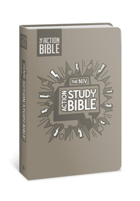 The NIV Action Study Bible, Leathersoft, Gray, Full Color by David C Cook