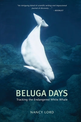Beluga Days: Tales of an Endangered White Whale by Lord, Nancy