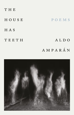 The House Has Teeth by AmparÃ¡n, Aldo