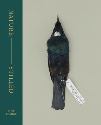 Nature -- Stilled by Ussher, Jane