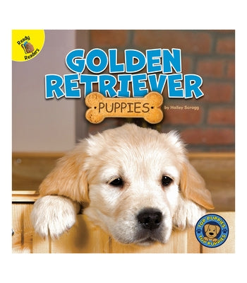 Golden Retriever Puppies by Scragg, Hailey