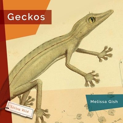 Geckos by Gish, Melissa