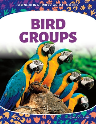 Bird Groups by Maccarald, Clara