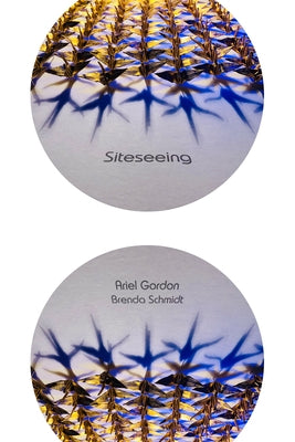 Siteseeing by Gordon, Ariel