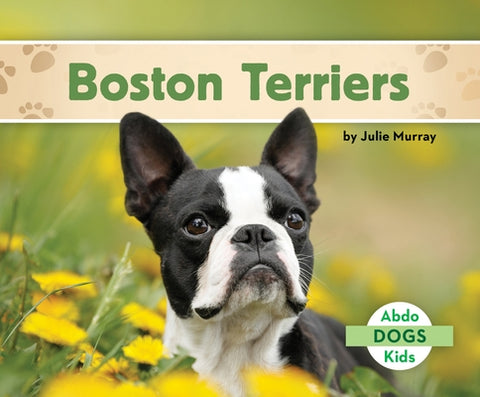 Boston Terriers by Murray, Julie