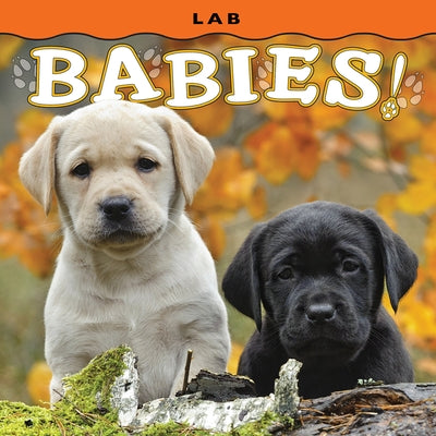 Lab Babies! by 