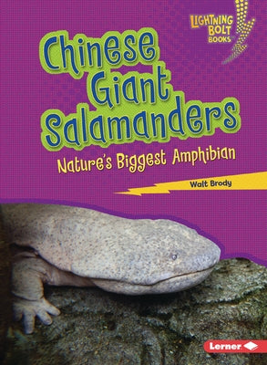 Chinese Giant Salamanders: Nature's Biggest Amphibian by Brody, Walt