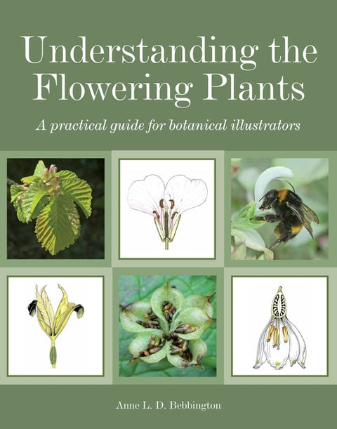 Understanding the Flowering Plants: A Practical Guide for Botanical Illustrators by Bebbington, Anne